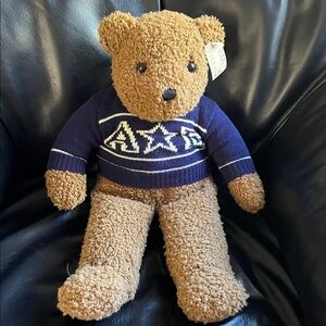 American Eagle Outfitters limited edition 1977-1997 Teddy Bear with Blue sweater